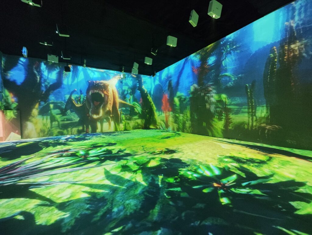 Unveiling the Wonders of Large Immersive Interactive Projection Projects