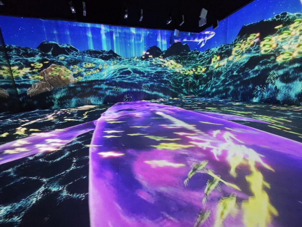 Immersive Projection 3 1024x771 