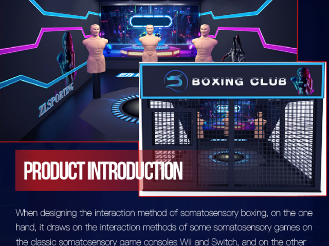 AR boxing simulation equipment manufacturer