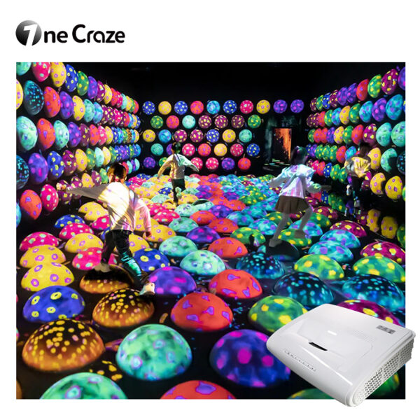 interactive color ball systems price for families