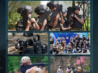 real life combat gaming systems manufacturer
