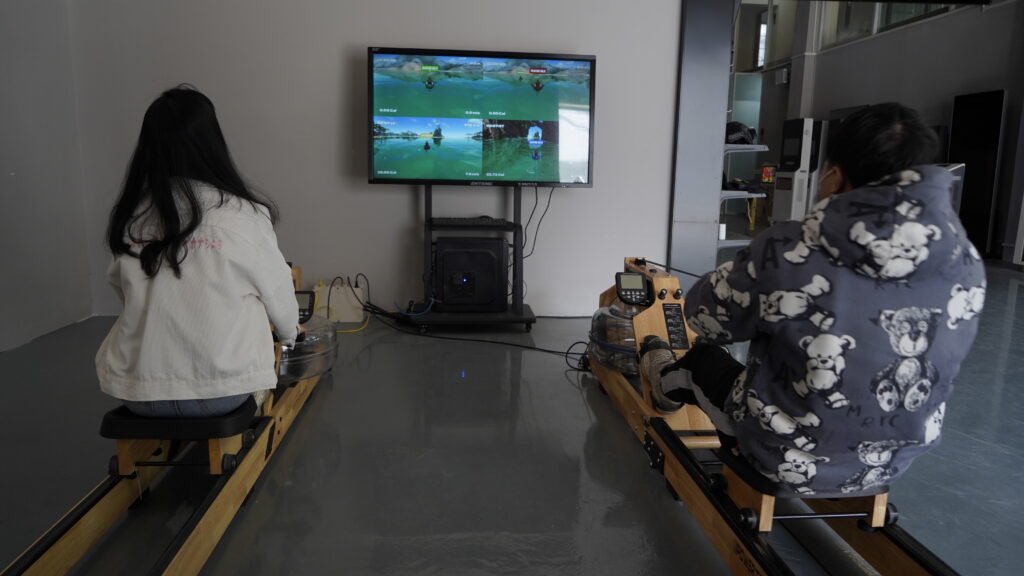 Order French rowing back fitness simulator
