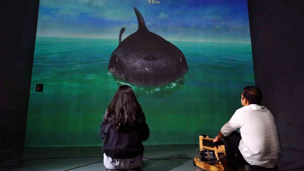 Single Boat Rowing Simulator | Sports Fitness Game Machine