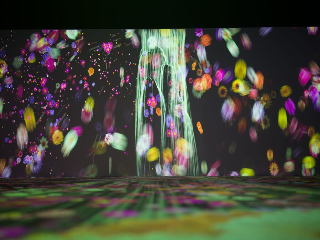 immersive interactive art museum New Zealand