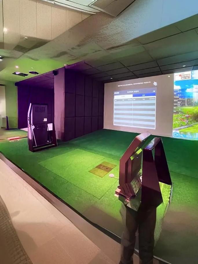 Portable golf simulator with data analysis screen