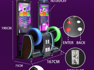 Dual-seat rotating wheel game rolling machine (6) Player enjoying the dual-seat rotating wheel game