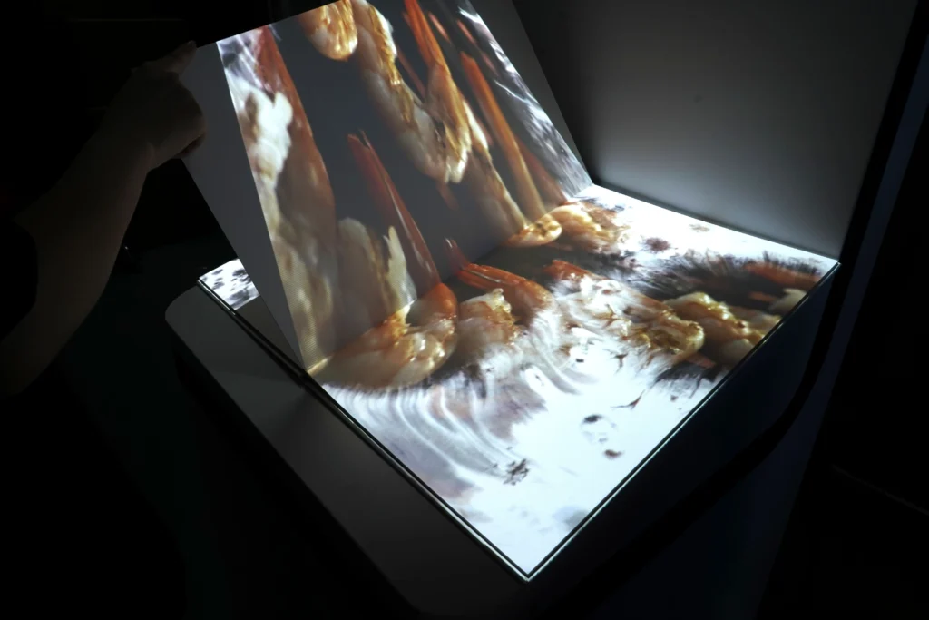 interactive dining table projection mapping software