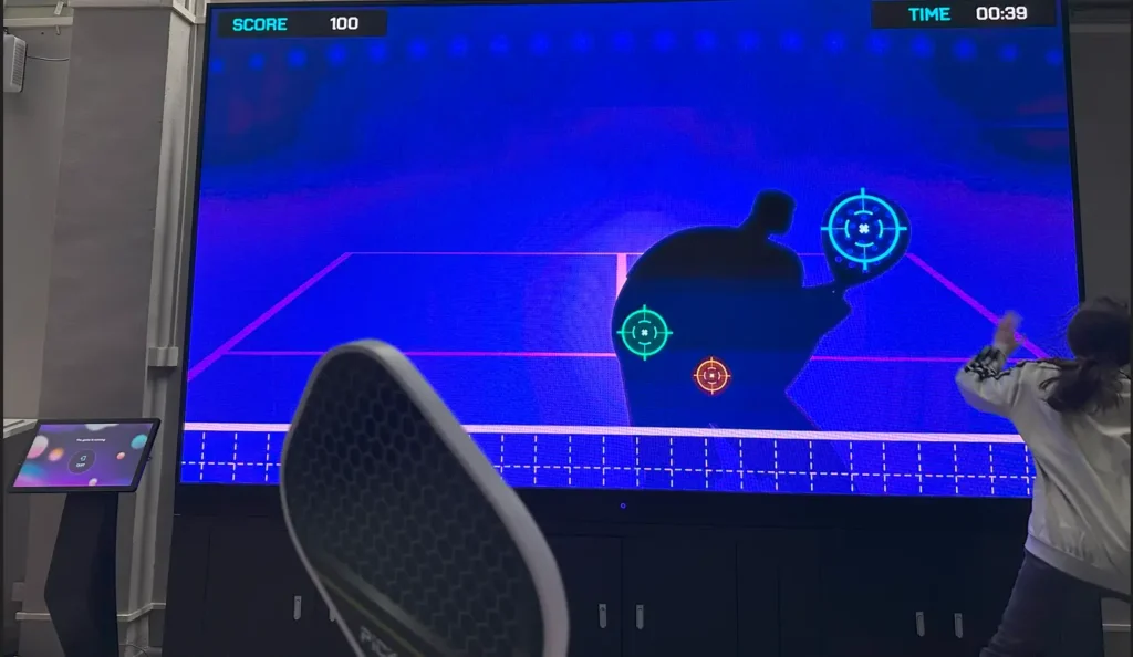 pickleball hitting gameplay training setup