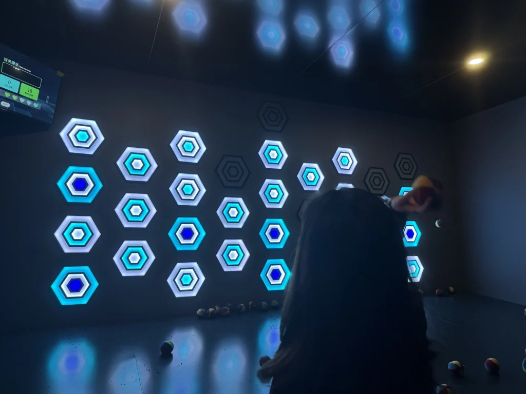 interactive target throwing arena