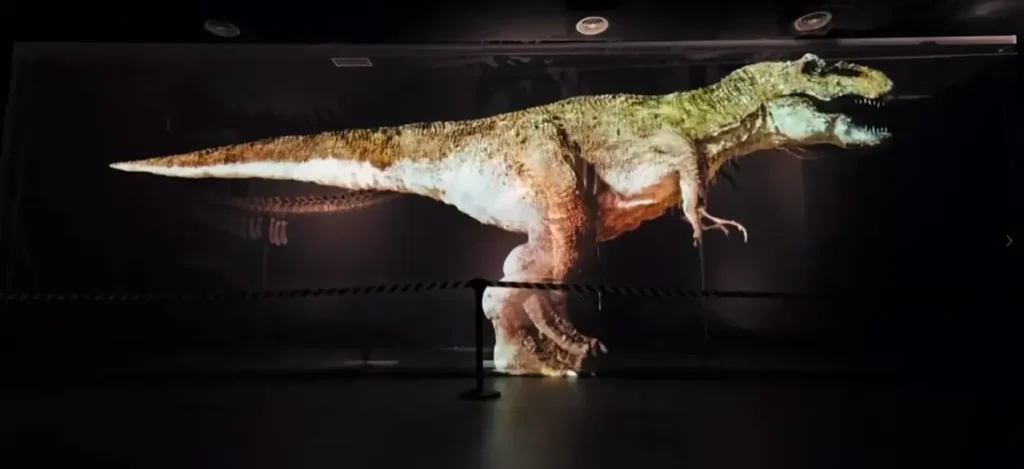 How Can a Projector Solution Create an Immersive Dinos Alive Theme Mapping Experience Museum?